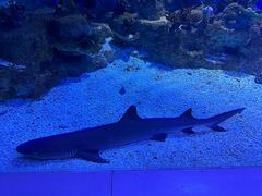 -常州海昌海洋探索馆