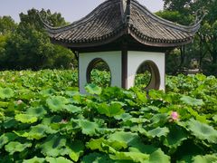 -宜兴张公洞