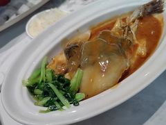 -新光酒家·河豚·海鲜·蟹料理(浦东店)