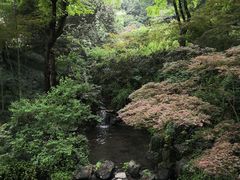 -西湖游船