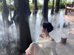 -东湖落雁景区