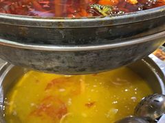 -重庆乌鱼庄·龙滋鲜(青羊大道店)