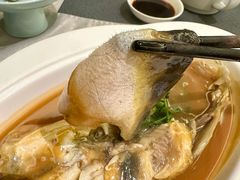-沈灶河豚宴·河豚融合餐厅(汉中路店)