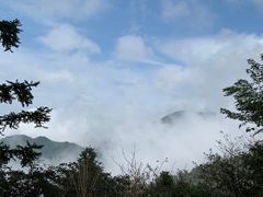 -大围山国家森林公园