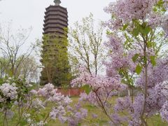 -西海子公园