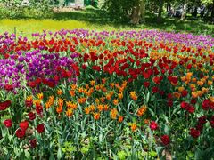 -国家植物园南园