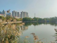 -南翠屏公园