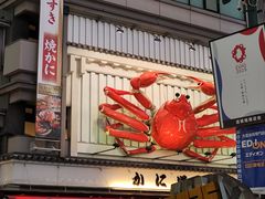 -蟹道乐(道顿堀本店)