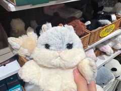 -美罗城
