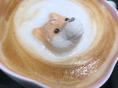 -逗柴咖啡屋·狗咖猫咖宠物桌游