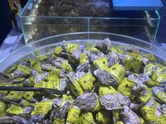 -聚盛源蒸汽海鲜火锅烤肉自助(巨川金海岸购物广场店)