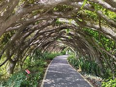 -广西壮族自治区药用植物园