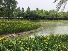 -皇粮浜公园