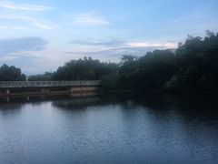 -厦门国家会计学院