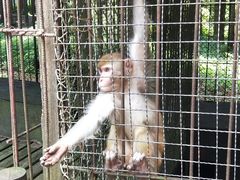 -武陵山森林公园