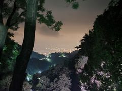 -泰山风景名胜区