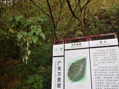 -羚羊峡古栈道森林公园