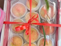 -南汇水蜜桃采摘(大团店)