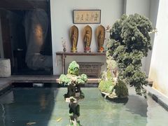 -觀芷隐轩