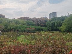 -郑州植物园