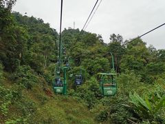 -野象谷景区