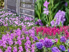 -广州市白云山风景名胜区