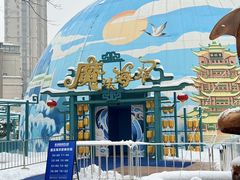 -海合安武汉极地海洋公园