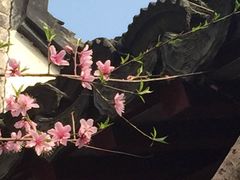 -檀园