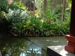 -西双版纳洲际度假酒店兰吧