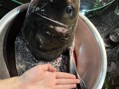 -好灶头妈妈菜·柴火灶台鱼·千岛湖土菜地标美食