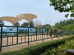 -秦皇岛野生动物园