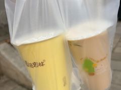 -猫的魔法密林(衣裳街店)