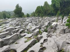 -原山国家森林公园