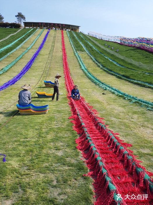 衢州飞鸿滑草场图片