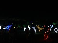 -秀丽东方