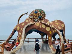 -放鸡岛生态旅游国际度假区