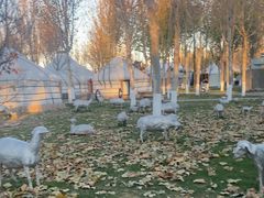 -九十九顶毡房(阜石路店)