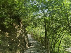 -大岭沟猕猴桃谷风景区