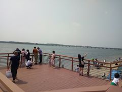 -丁香湖公园