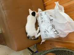 -肇兴特色牛肉粉