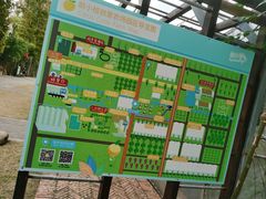 -前小桔亲子创意农场·草莓采摘·露营烧烤
