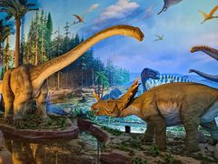 -西峡恐龙遗迹园