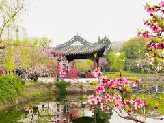 -无锡蠡湖国家湿地公园-蠡园
