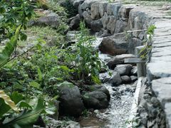 -MOJ coffee(瓯海泽雅水碓坑店)