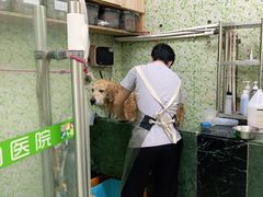 -瑞鹏宠物医院·微创内窥镜·骨外科·牙科(翠竹分院)