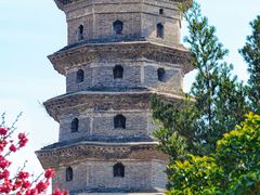-东台西溪天仙缘景区