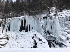 -望天鹅景区