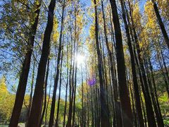 -百里山水画廊