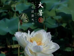 -黄兴公园