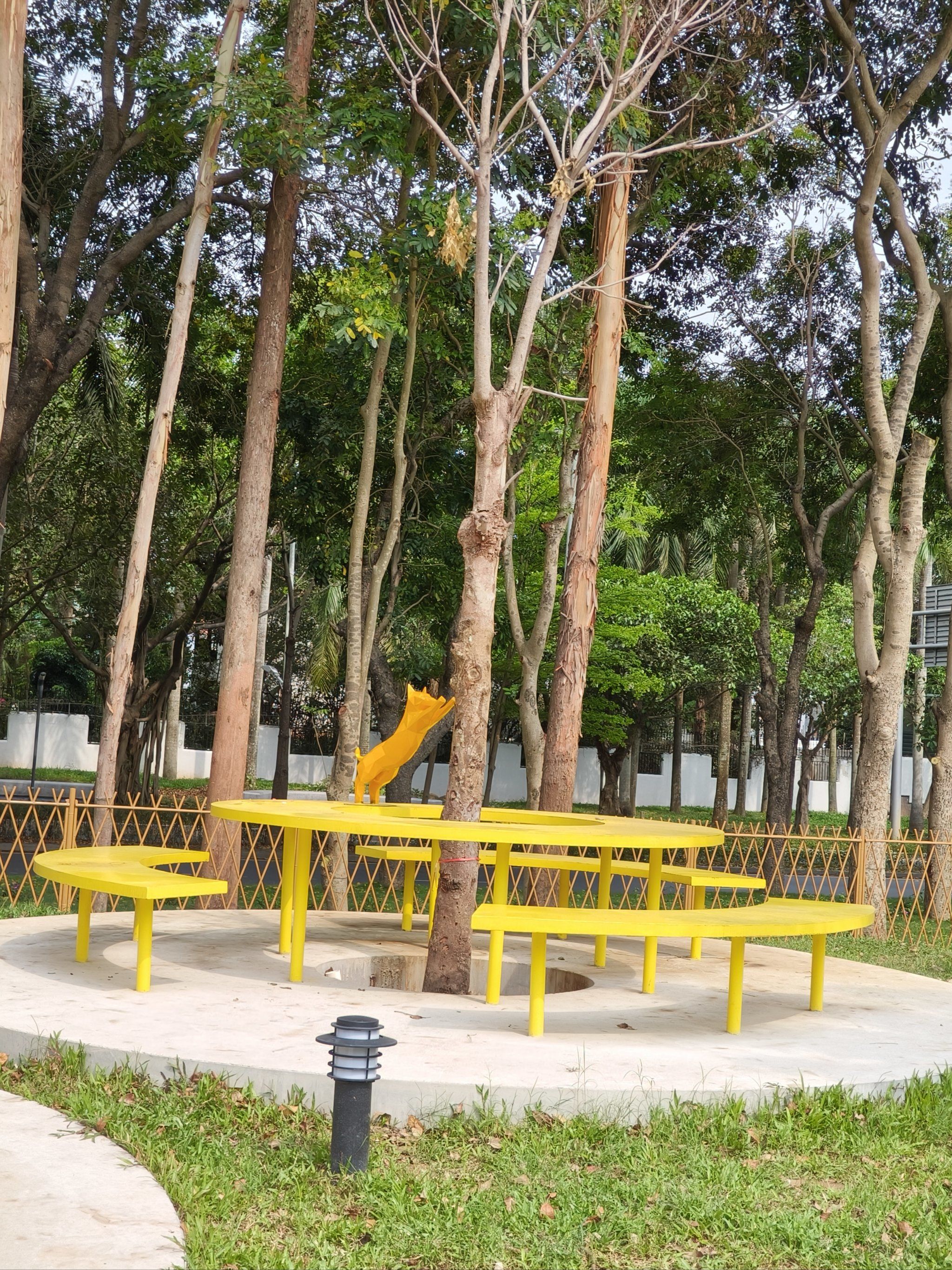 深圳最大的宠物公园|云曦萌宠绿地小游园